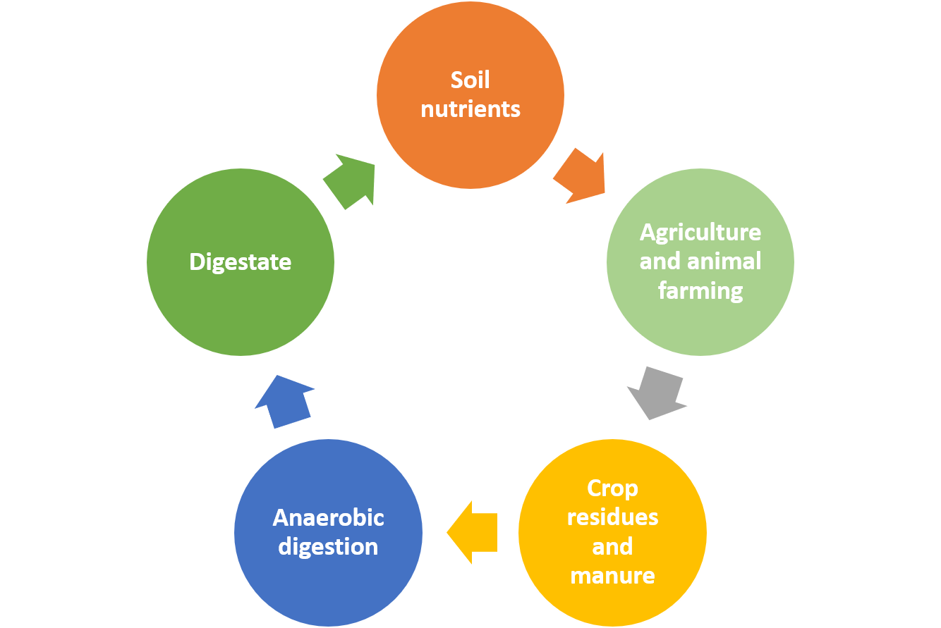 The digestate cycle