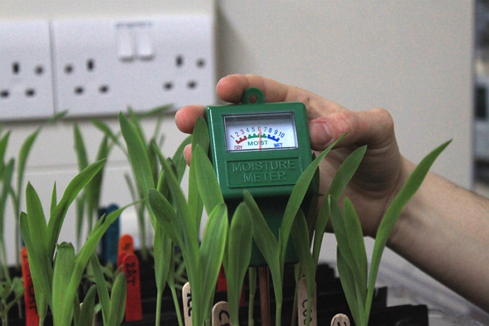 measuring the moisture of soil amended with biochar