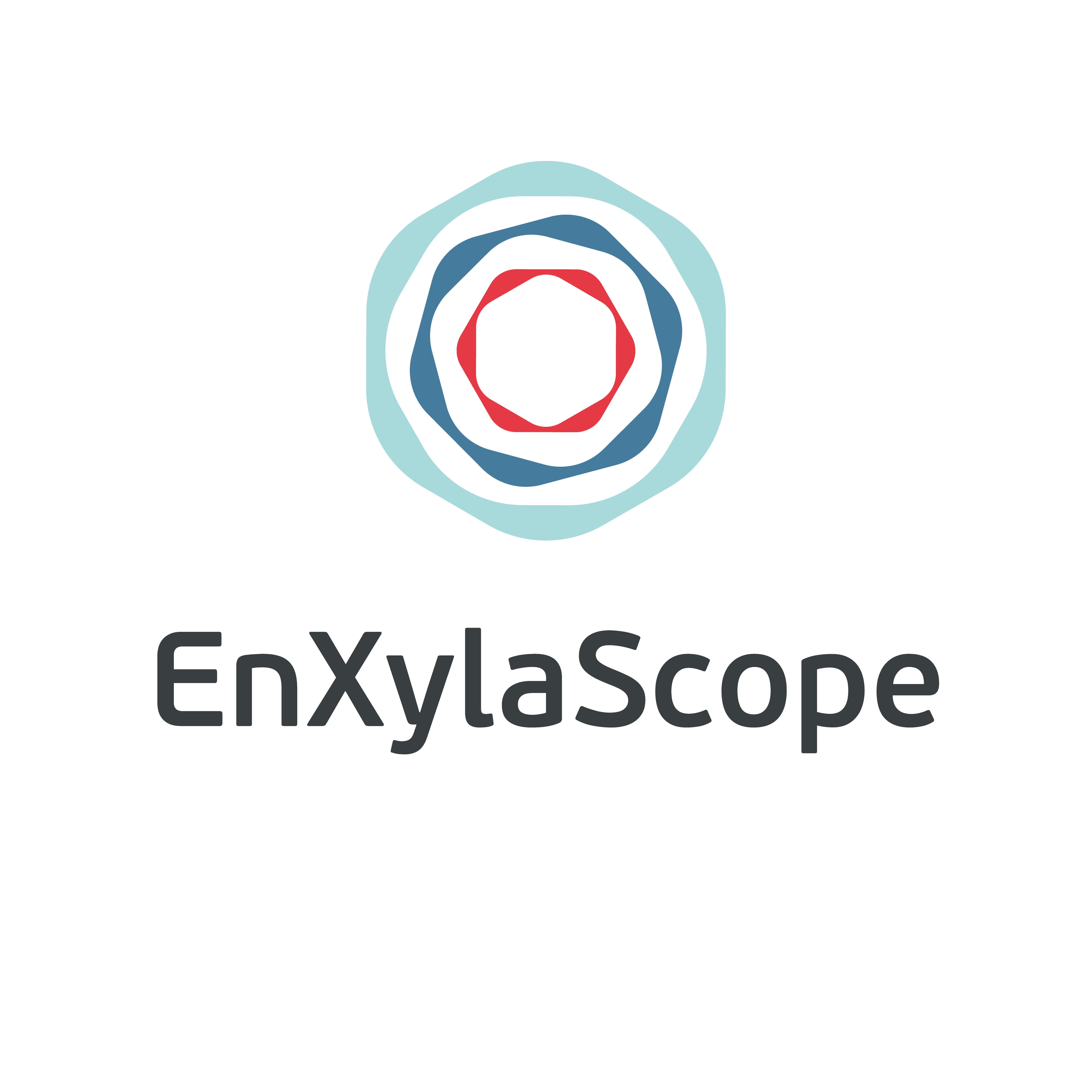 enxylascope_logo