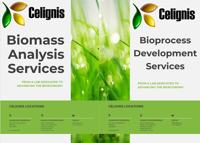 celignis_2026_brochure